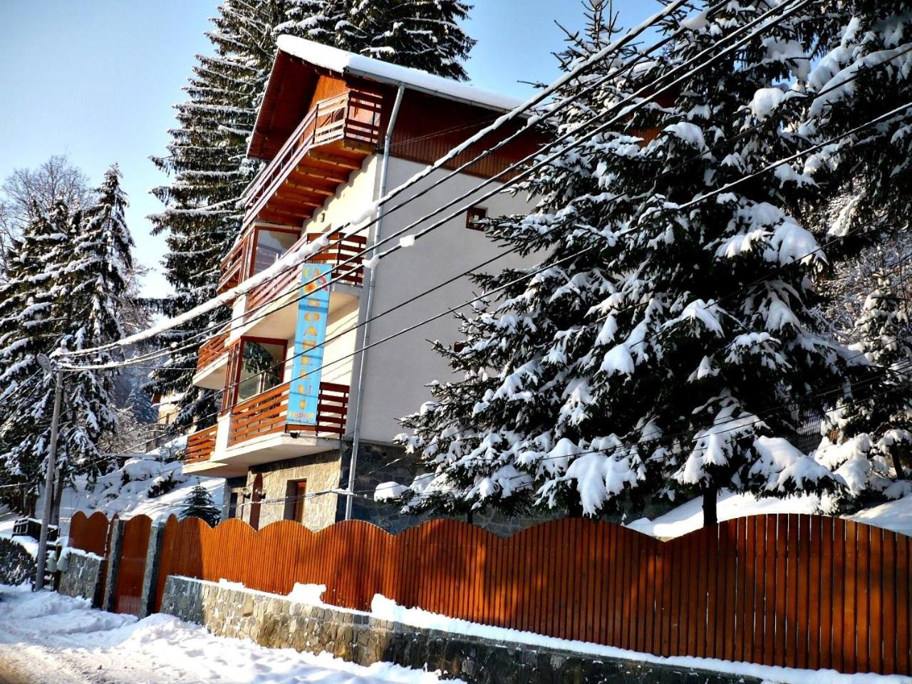 Pension Casa Soarelui ซินายา ภายนอก รูปภาพ